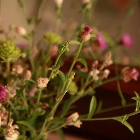 La Grange Dans La Foret 別荘 Fumel