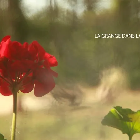 Casa vacanze La Grange Dans La Foret *