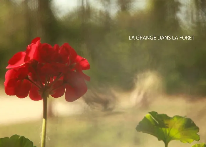 בית נופש La Grange Dans La Foret *